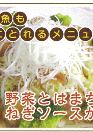 鳥取の野菜とはまちのねぎソースがけ-レシピのメイン写真