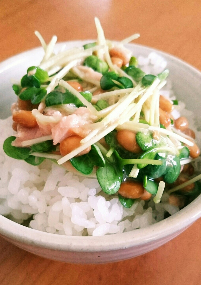 かいわれツナっとう-レシピのメイン写真