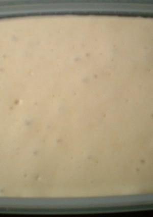 パン種(中種)の作り方-レシピのメイン写真