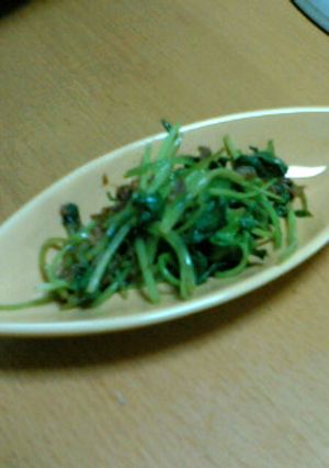 今日は主役のみつば-レシピのメイン写真