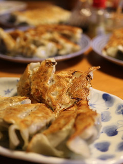 ホットプレートで焼く羽根付き餃子100個-レシピのメイン写真