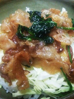 野菜を沢山食べられる豚肉の蒲焼き風丼-レシピのメイン写真