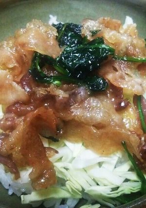野菜を沢山食べられる豚肉の蒲焼き風丼-レシピのメイン写真