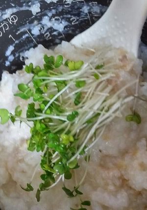 ✨ケンタ✨を残り御飯のジャーにポン❗-レシピのメイン写真