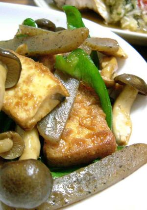 焼肉のたれで超簡単☆厚揚げこんにゃく炒め-レシピのメイン写真