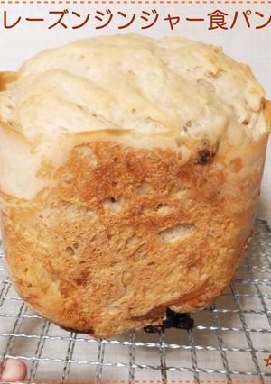 ふわっもち ジンジャー＆レーズン食パン♬-レシピのメイン写真