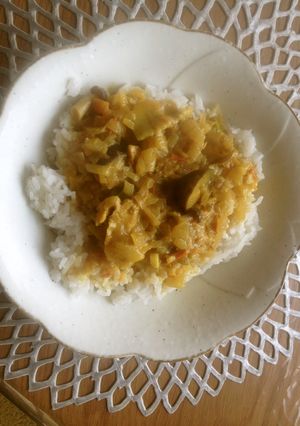 ある日のカレー 〜チキンマドラス風〜-レシピのメイン写真