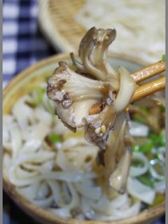 群馬は舞茸だぜぇ!うんまい舞茸うどん-レシピのメイン写真