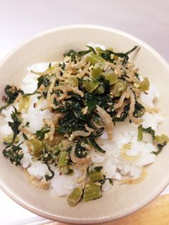 じゃこと大根の葉炒め-レシピのメイン写真