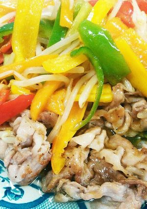 簡単☆豚肉とカラーピーマンの甘酢あんかけ-レシピのメイン写真