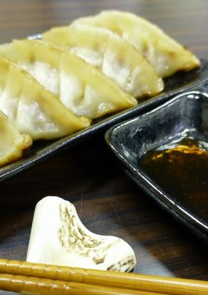 鹿肉餃子-レシピのメイン写真