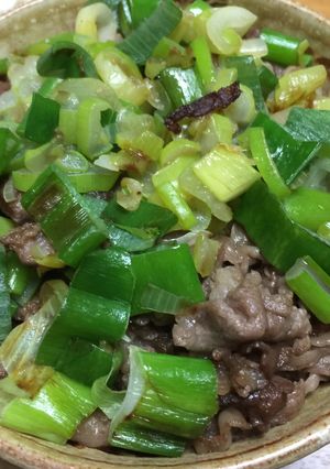焼き牛丼！-レシピのメイン写真