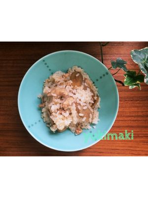 鶏ごぼう混ぜご飯-レシピのメイン写真