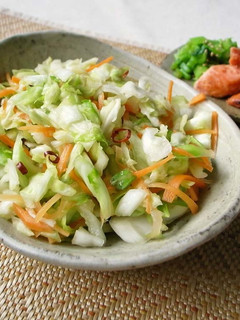 キャベツ大量消費!基本のキャベツの浅漬け-レシピのメイン写真