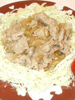 簡単やわらか生姜焼き玉ねぎ生姜焼き丼タレ-レシピのメイン写真