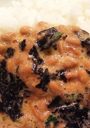 ご飯のすすむ納豆丼-レシピのメイン写真