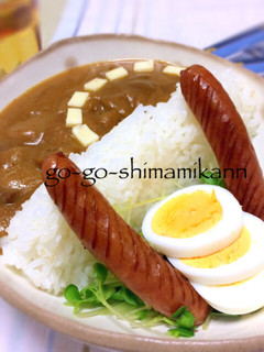 ダムマニアのためのダムカレー-レシピのメイン写真
