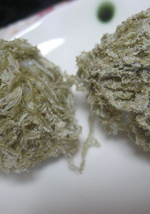 とろろ昆布でお化け☆おむすび-レシピのメイン写真