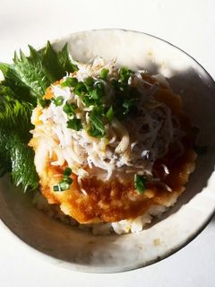 しらすおろしご飯-レシピのメイン写真
