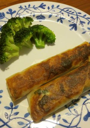 鶏胸肉の簡単春巻き♪-レシピのメイン写真