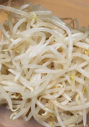 レンジで超簡単！もやし下茹で♡-レシピのメイン写真