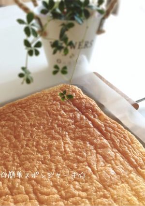簡単に出来る♡基本のスポンジケーキ-レシピのメイン写真