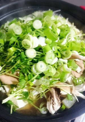 ネギたっぷり最後まで美味しい鶏塩鍋-レシピのメイン写真