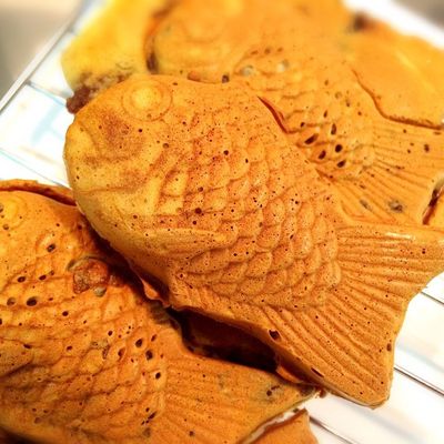 珍しい☆ たい焼き　型 珍しい☆ たい焼き 型