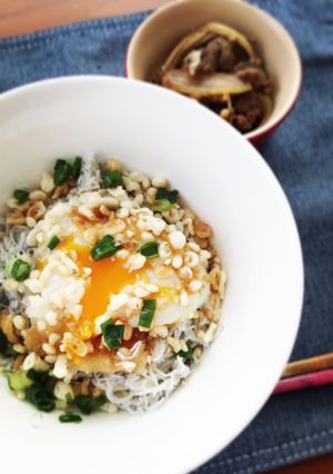 のせるだけ♪失敗知らずのしらすうどん☆-レシピのメイン写真