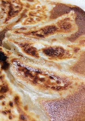野菜いっぱい☆手作り餃子☆-レシピのメイン写真