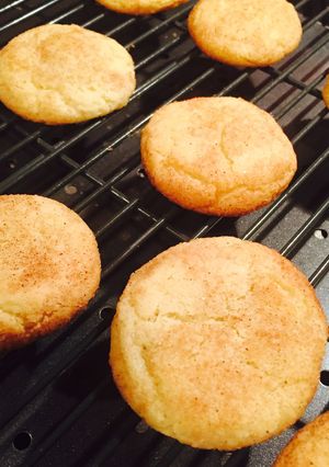 Snicker doodles-レシピのメイン写真