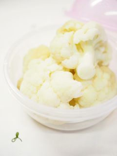 カリフラワーの保存法-レシピのメイン写真