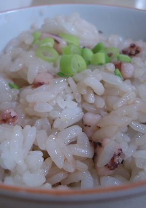 いかごはん-レシピのメイン写真