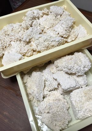手作り麹-レシピのメイン写真