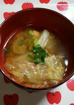 簡単あったか！白菜汁✩-レシピのメイン写真