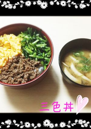 三色丼手抜き-レシピのメイン写真