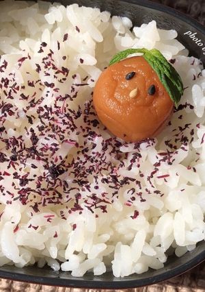 お弁当に！梅干しクン-レシピのメイン写真