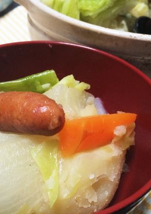 <大学生>野菜ごろごろポトフ-レシピのメイン写真