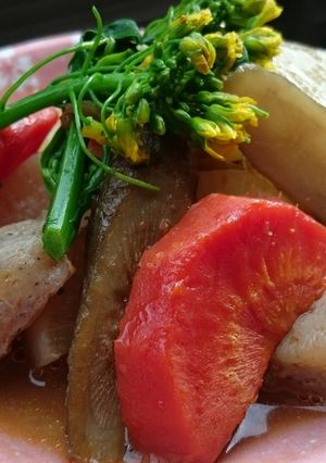 お年寄り絶讚シリーズ❗白だし煮物❗-レシピのメイン写真