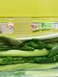 高菜 漬物-レシピのメイン写真