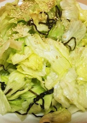 レタスと塩昆布の簡単サラダ-レシピのメイン写真
