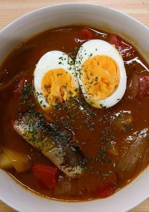 アンチョビを使ったスープカレー-レシピのメイン写真