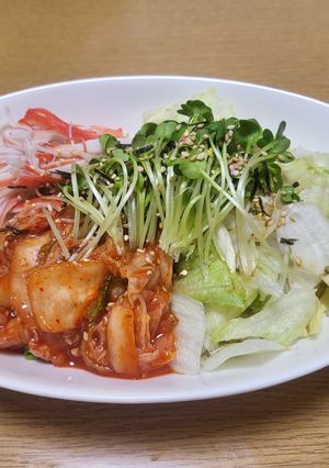 麺の上に乗せるだけ。簡単さっぱり冷やし麺-レシピのメイン写真