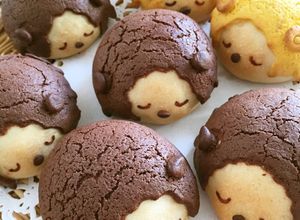 メロンパン～おやすみハリネズミ-レシピのメイン写真