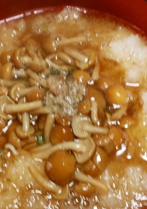 なめこおろしラーメン-レシピのメイン写真