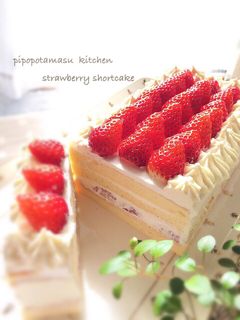 苺のショートケーキ-レシピのメイン写真