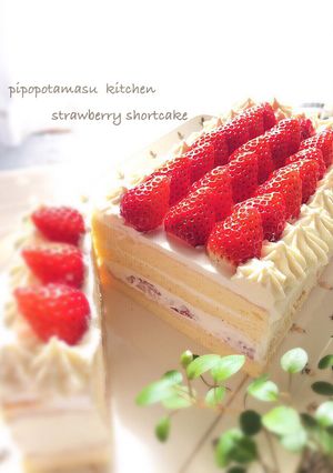 苺のショートケーキ-レシピのメイン写真