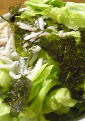 もりもりレタス-レシピのメイン写真