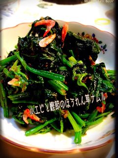 簡単♡小エビと鰹節のほうれん草ナムル♪-レシピのメイン写真