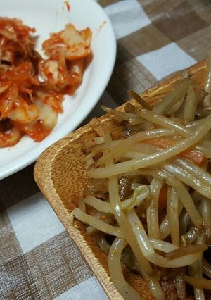 モヤシのきんぴらごぼう-レシピのメイン写真